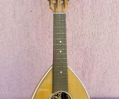 Antik Mandriola vagy Tricordia, 12 húros mandolin. Meinel & Herold 1910-1920 évek