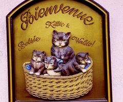 Domborműves üdvözlő reklámtábla cicákkal, keretezve
