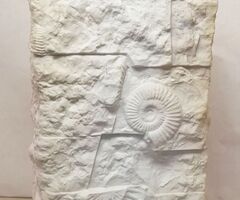 Fossziliás felületű téglatest forma matt fehér váza  Bavaria 1960-es évek