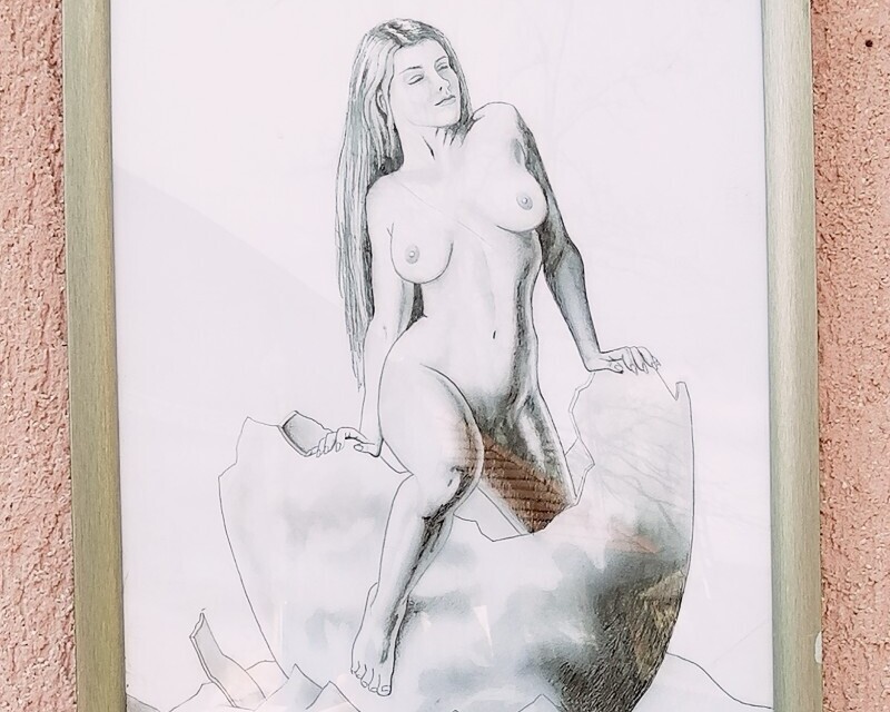 Tojásból megszülető Vénusz, Hevesi József grafikája, plexivel védett ezüst színű fakeretben